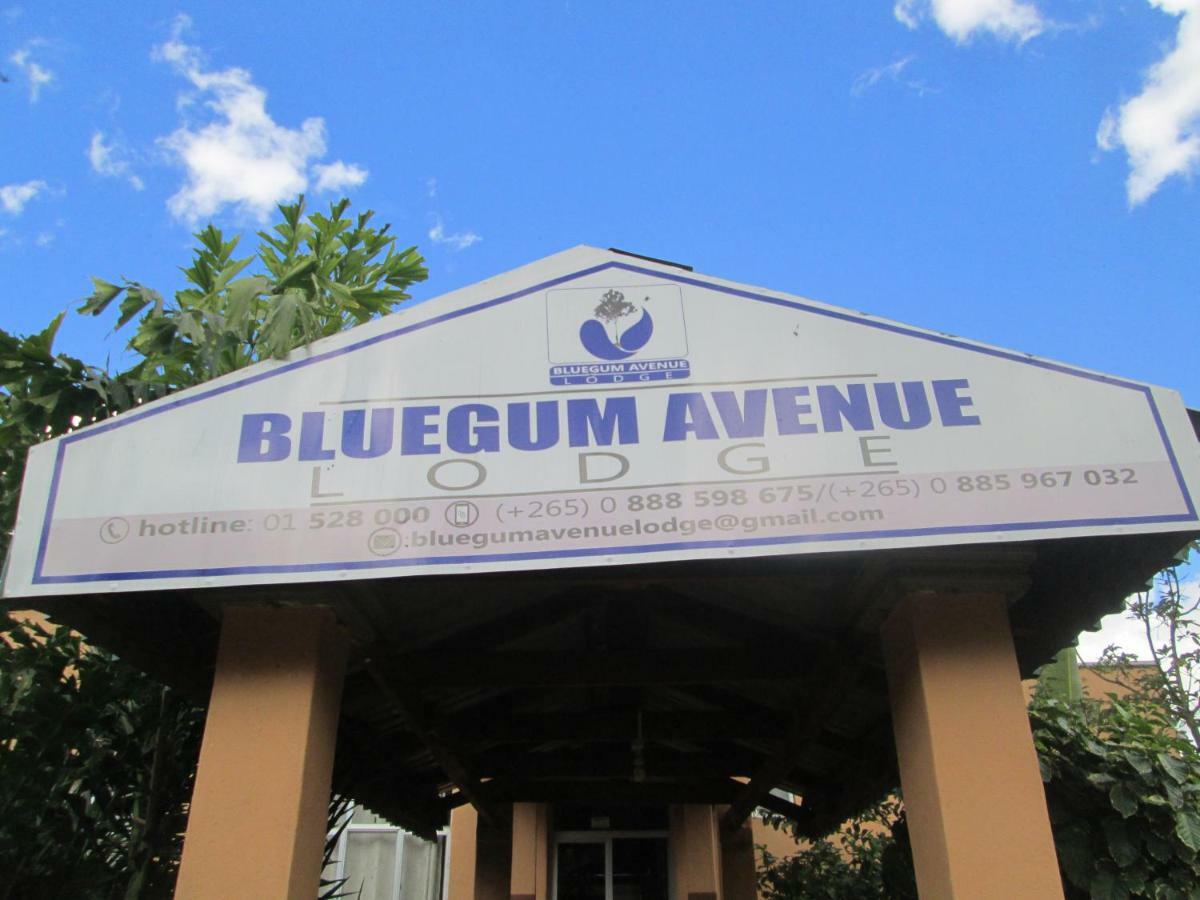 Zomba Bluegum Avenue Lodge מראה חיצוני תמונה